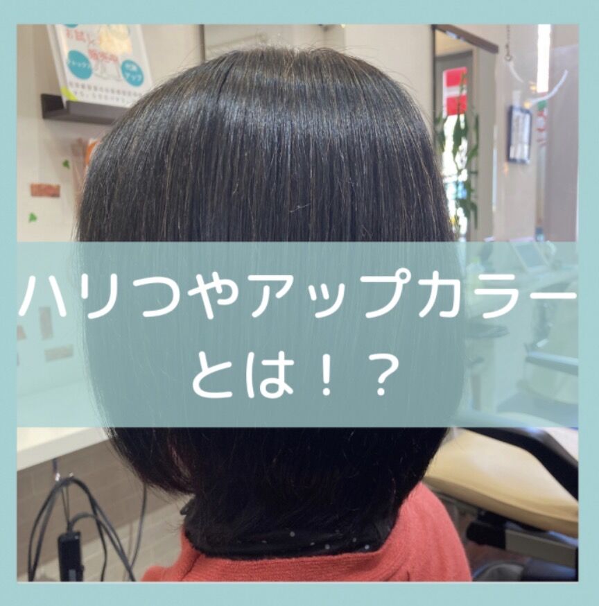 白髪染めで髪が傷む方へ｜ハリ・ツヤが出る低刺激カラーとは？河内長野市 河洋美容室