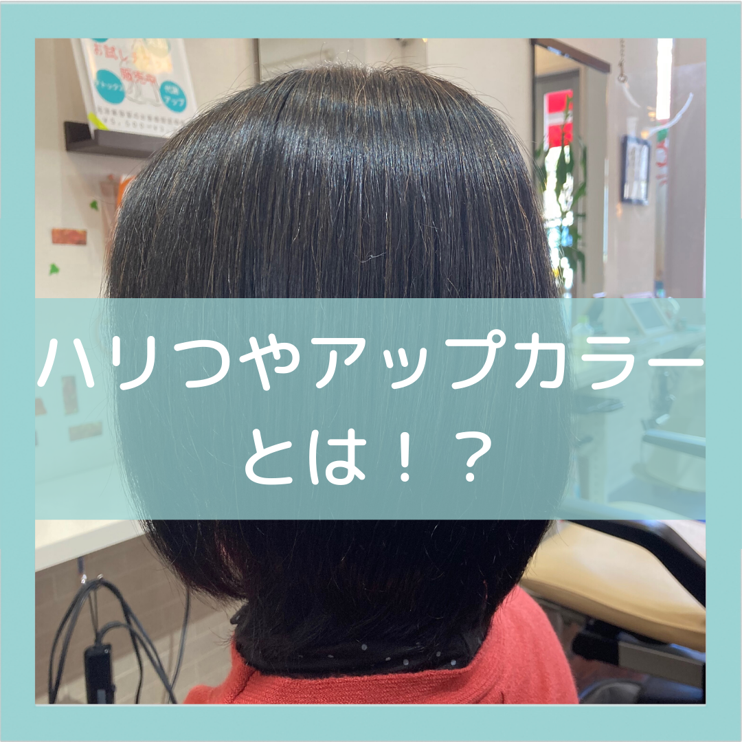 大阪の育毛サロン、薄毛にならない白髪染めとは？？